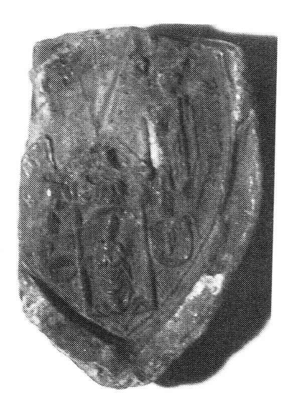 Mikołaj Tungen, biskup warmiński, pieczęć maryjna. Opis Edwarda Gigilewicza z 1998 r.