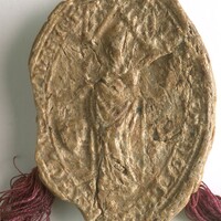 Archiwum Główne Akt Dawnych w Warszawie, Zbiór dokumentów pergaminowych, sygn. 0542