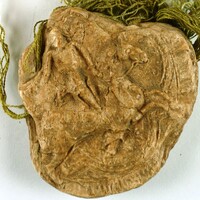 Archiwum Główne Akt Dawnych w Warszawie, Zbiór dokumentów pergaminowych, sygn. 0730